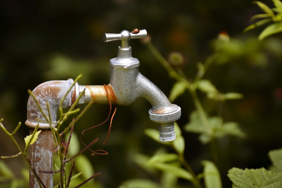 Old Rusty Water Tap
