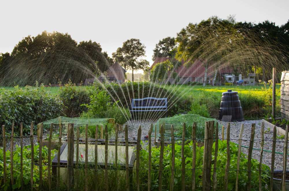 Water Sprinker Spraying Plants