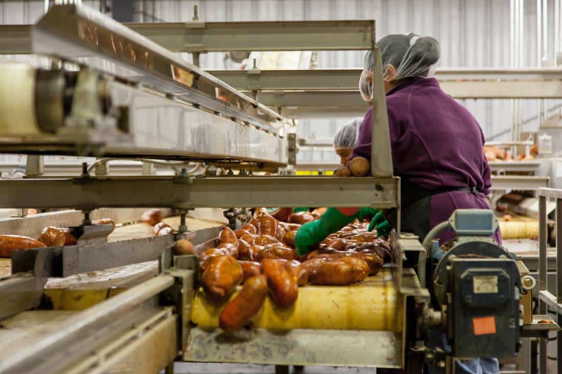 Hose Pump Performance Cleaning Sweet Potatoes